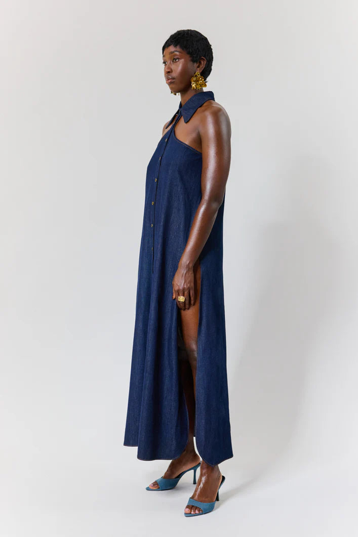 The Kemist Dana Dress